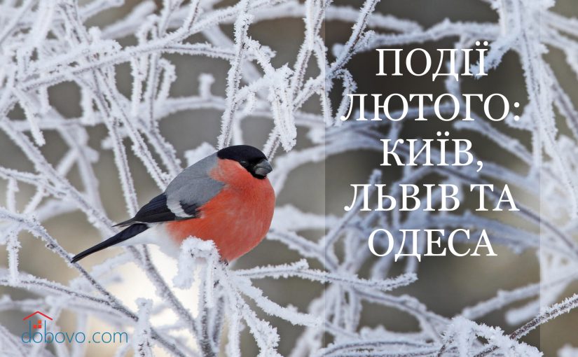 Події лютого: куди піти у Києві, Львові та Одесі